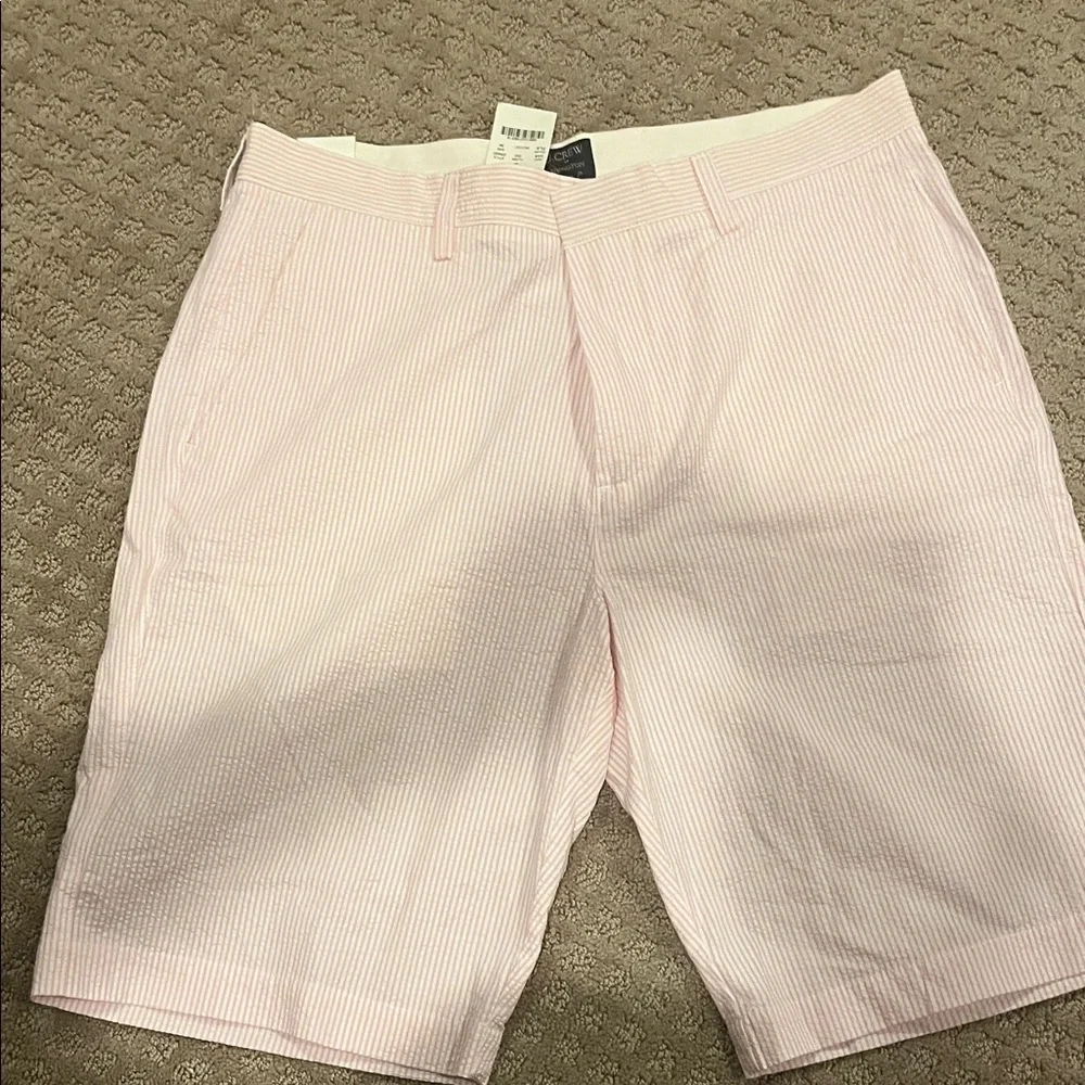 J Crew Revington NWT 34 Men's Pink Striped Shorts